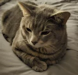 1000001679.webp 1000001679.webp