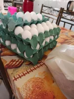 WhatsApp Image 2025-07-31 at 16.42.35_b459c963.webp