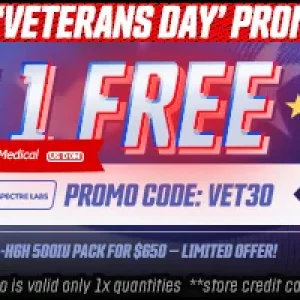 VETERANS DAY_870x200_.jpg