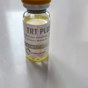 Immagine WhatsApp 2025-06-01 ore 09.28.25_4300ea08.webp