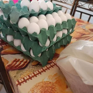 WhatsApp Image 2025-07-31 at 16.42.35_b459c963.webp