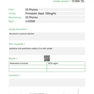 Media 'Test Report #88554.webp' in category 'Meso Morph Media'