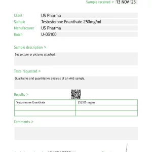 Media 'Test Report #88550.webp' in category 'Meso Morph Media'