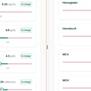 Media 'Blood Work 4 11 26 (5).webp' in category 'Meso Morph Media'