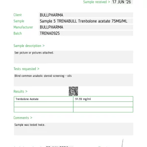 LAB REPORT.webp