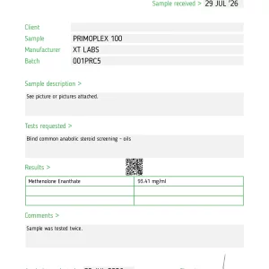 LAB REPORT.webp