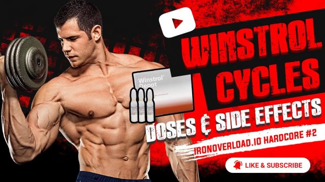 IronOverload-io-Hardcore-2-Winstrol-Cycles-Doses-and-Side-Effects